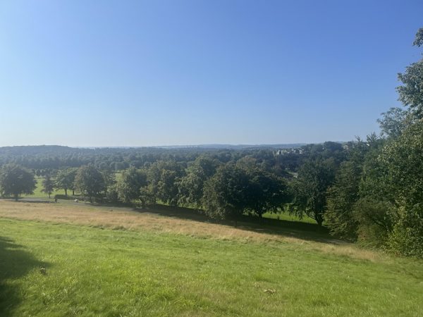 Introduction to Family Constellations for Counsellors and Therapists image